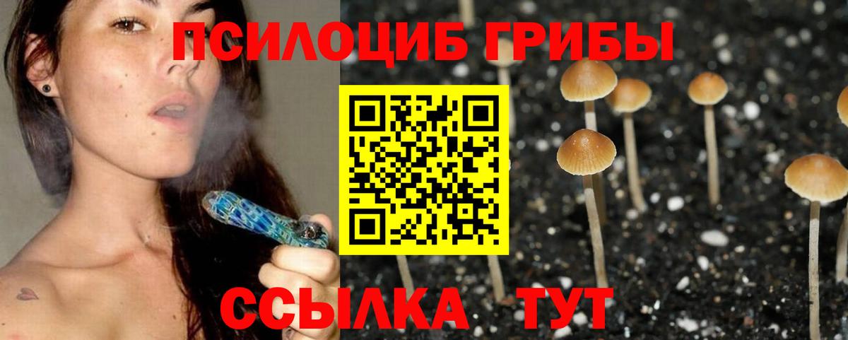 Галлюциногенные грибы мухоморы Грязи