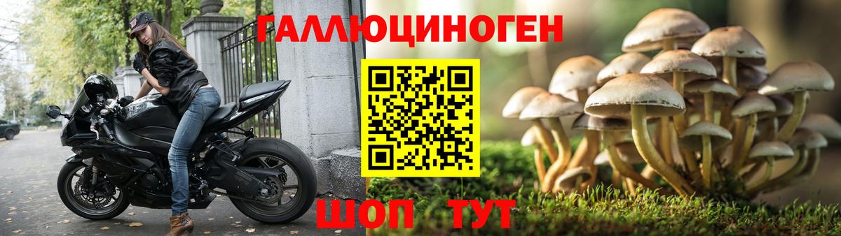 Псилоцибиновые грибы Psilocybine cubensis  даркнет сайт  Грязи  Вход с VPN 
